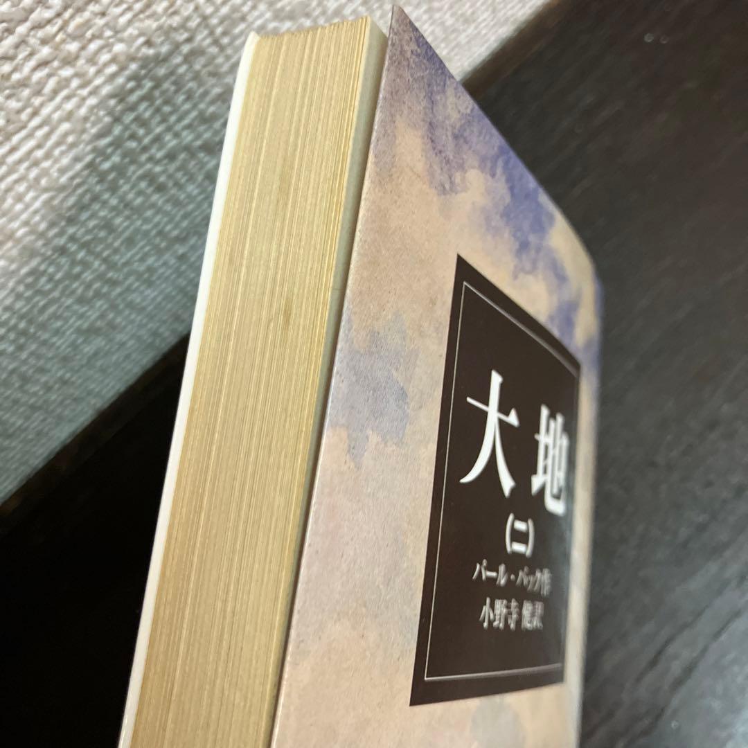 岩波文庫　赤帯　青帯　白帯　 23冊まとめ売り