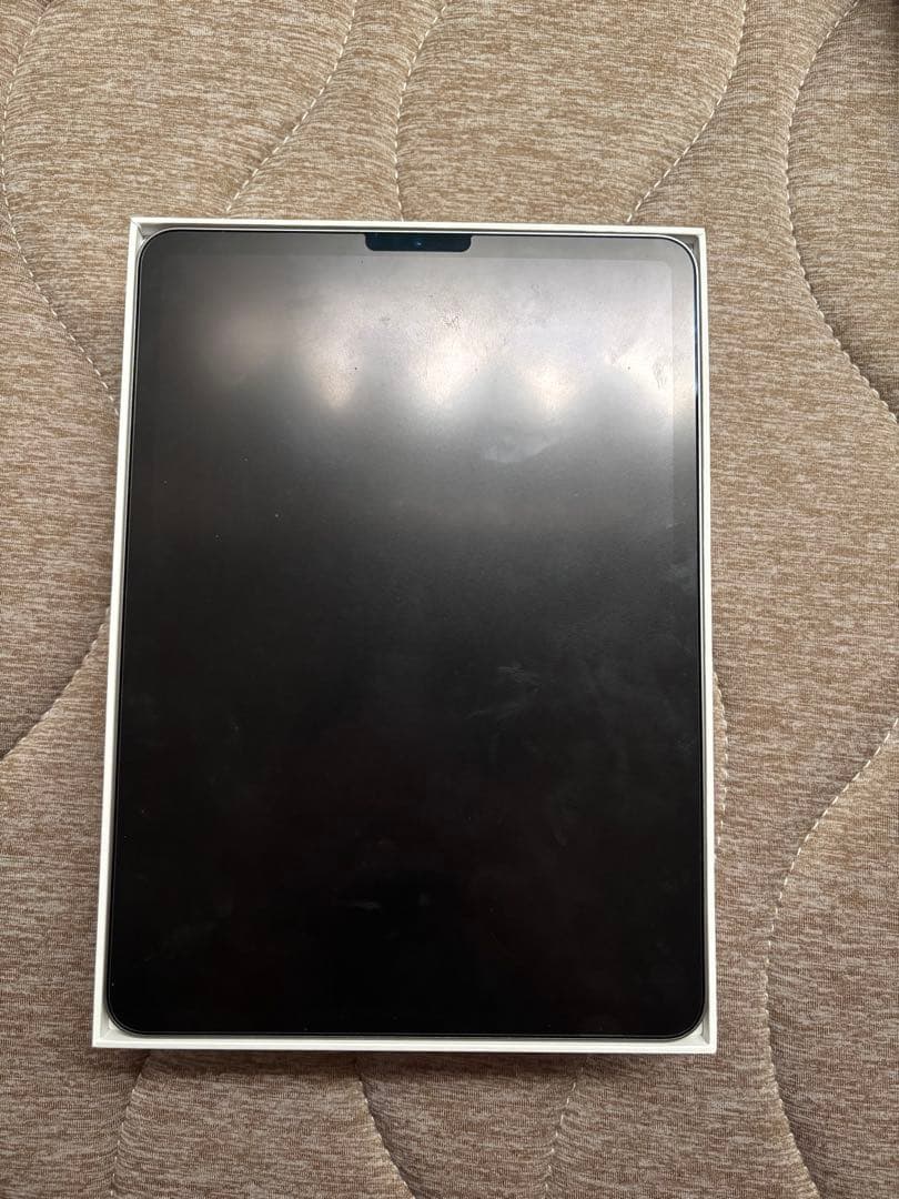 iPad Pro 11インチ　第4世代　Wi-Fiモデル　256GB