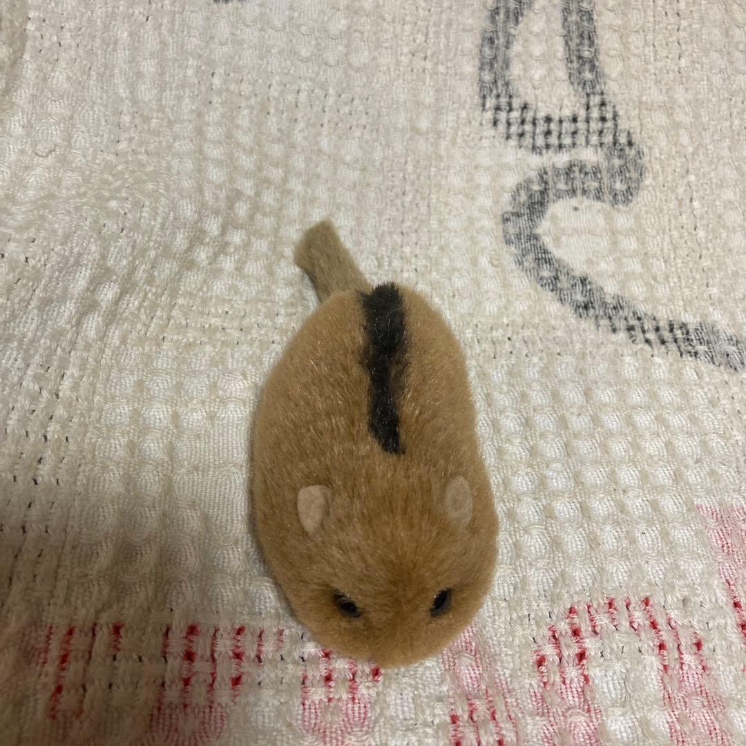 やまね工房　やまね　ぬいぐるみ　2コセット　中古品