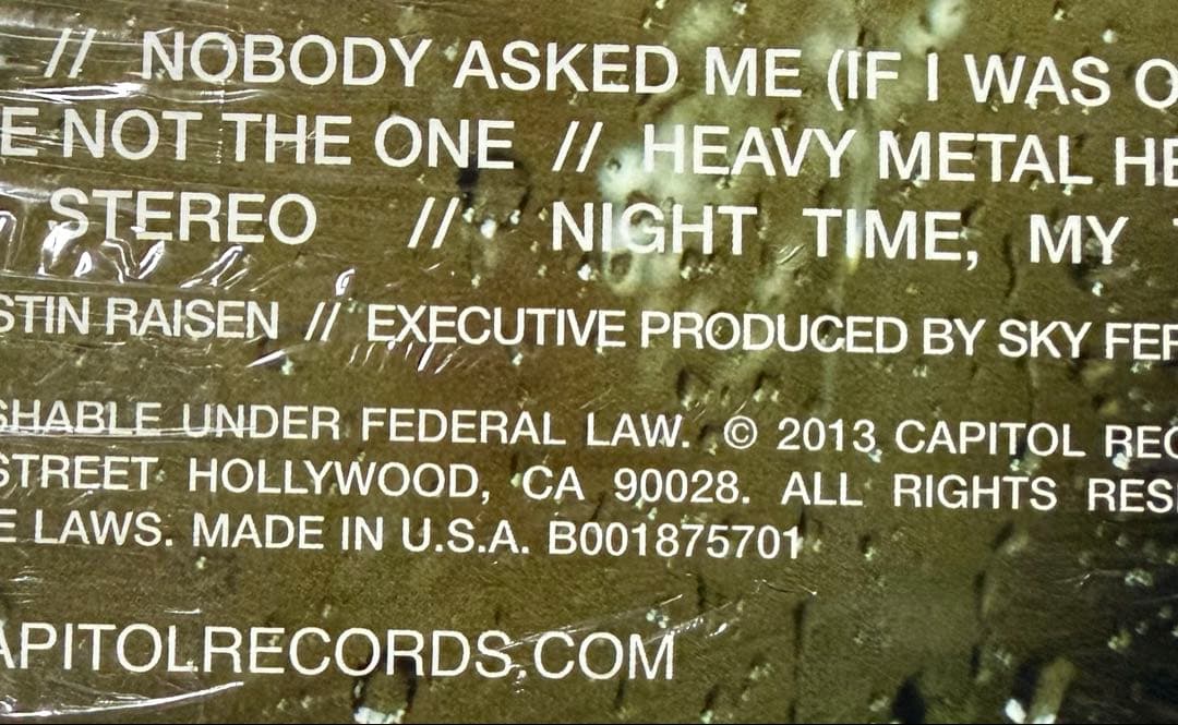 洋楽 Sky Ferreira Night Time, My Time LP