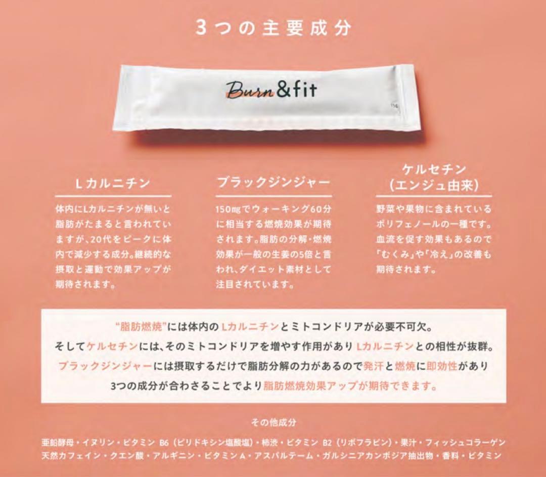 【新品未開封】 Burn & fit バーンアンドフィット 2箱セット