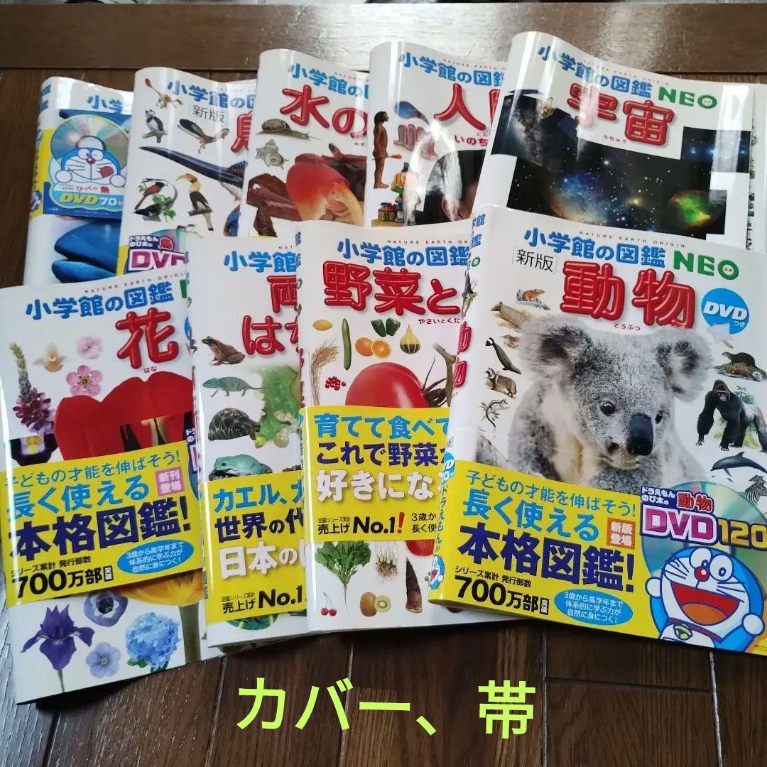 小学館の図鑑NEO 9巻 DVD、CD付き おまけ昆虫図鑑　新品同様