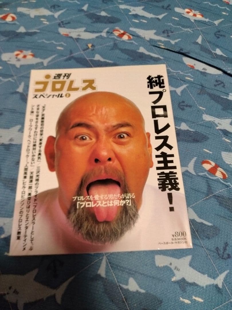 週刊プロレススペシャル