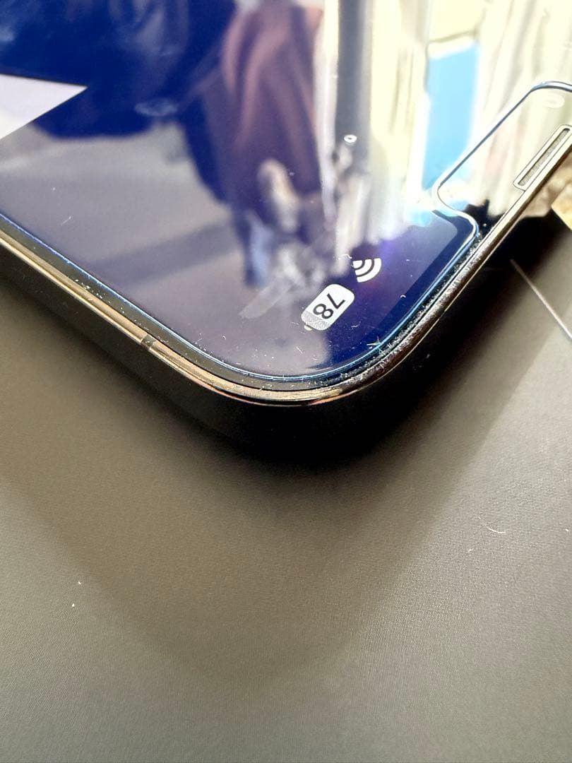【即発送】Apple iPhone 13Pro Max本体 ケース付き