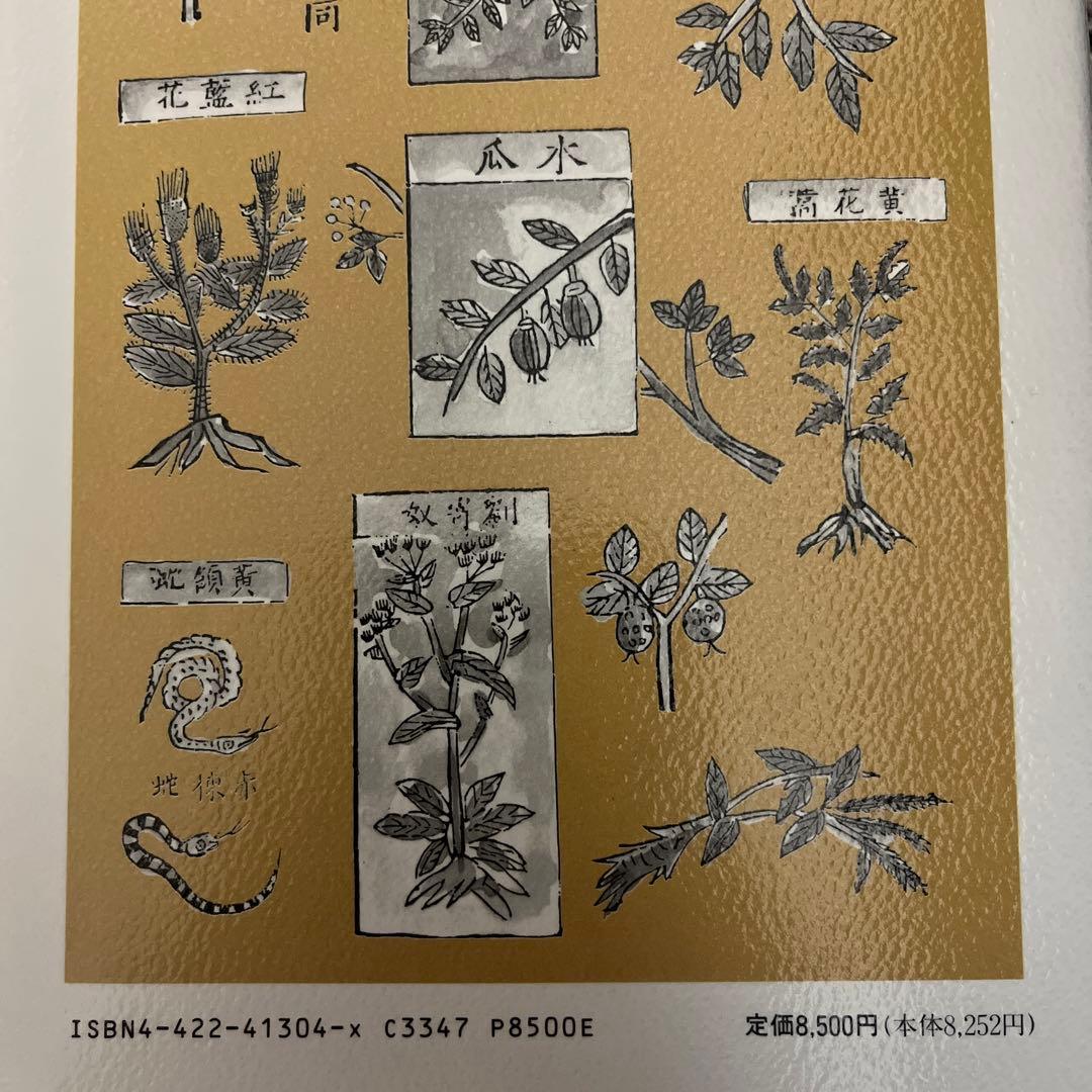 臨床応用　漢方処方解説　増補改定版