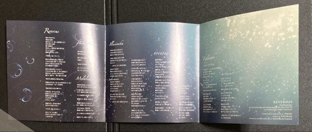 ELECTROCUTICA REVERSUS ルシュカ やなぎなぎ 同人 CD