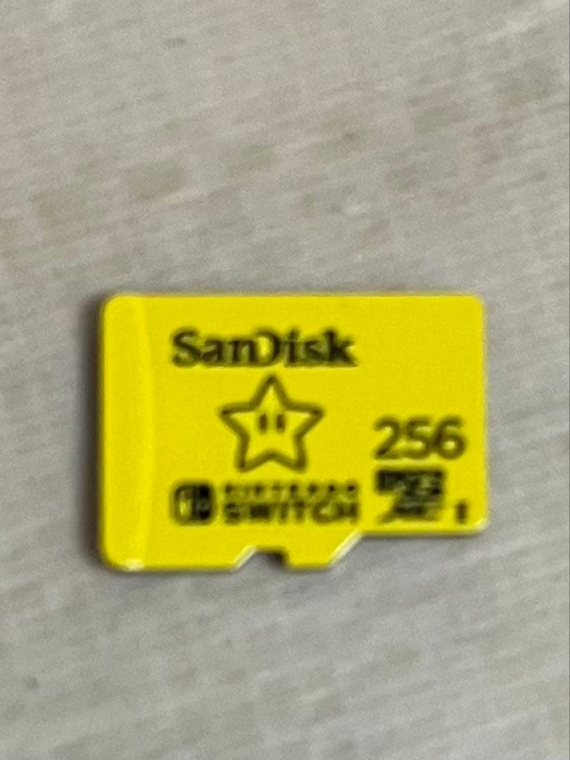 Nintendo Switch 本体 グレー プロコントローラー付き