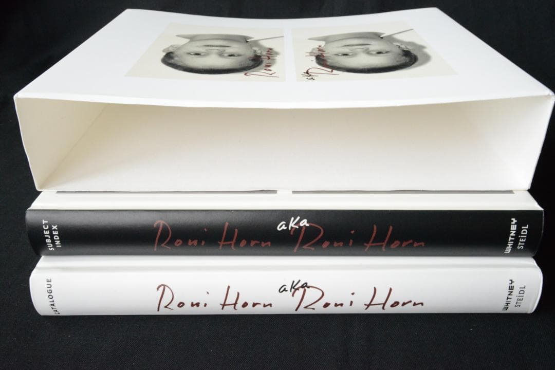 【Roni Horn aka Roni Horn】Roni Horn新品未読品