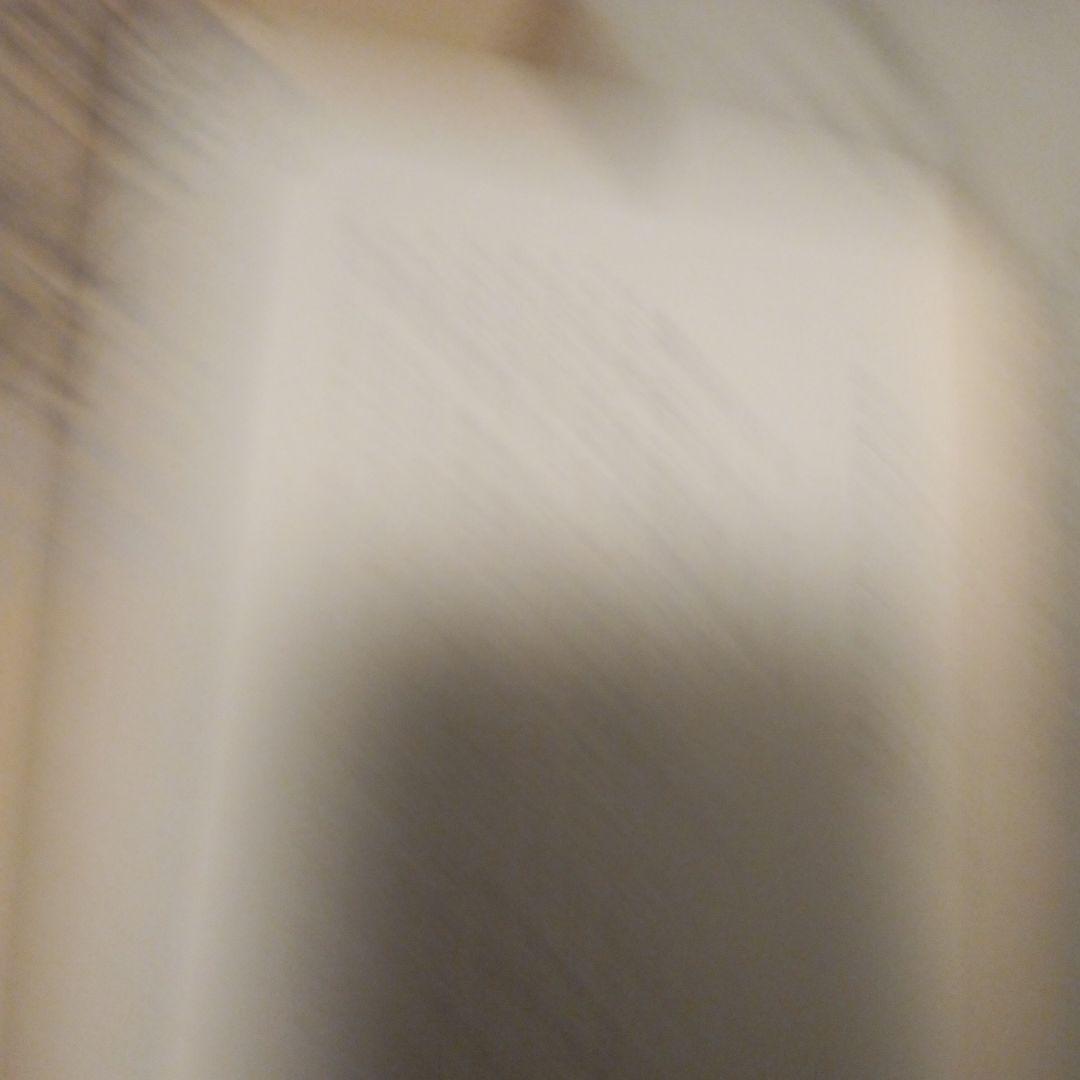 大乗仏典　日蓮