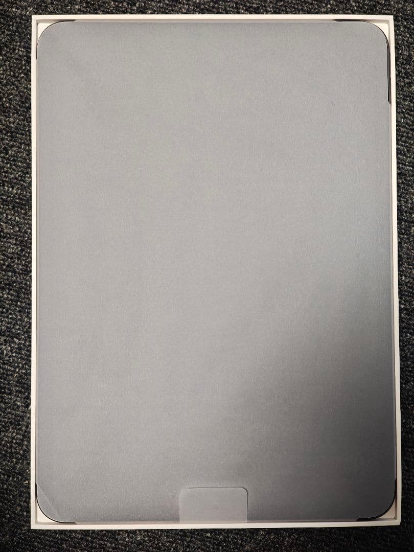 iPad本体 Ipad pro m5