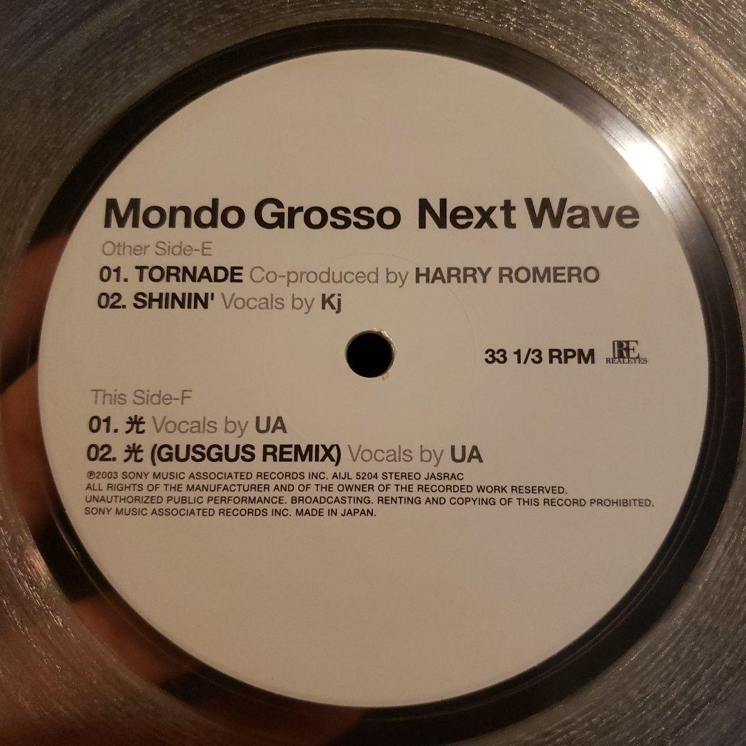 邦楽 Mondo Grosso Next Wave UA Dragon Ash