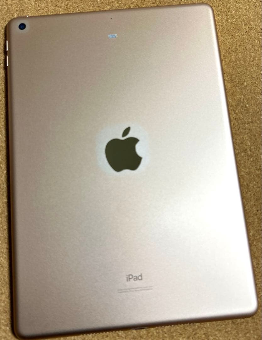 iPad本体 Apple iPad7 32GB (20)