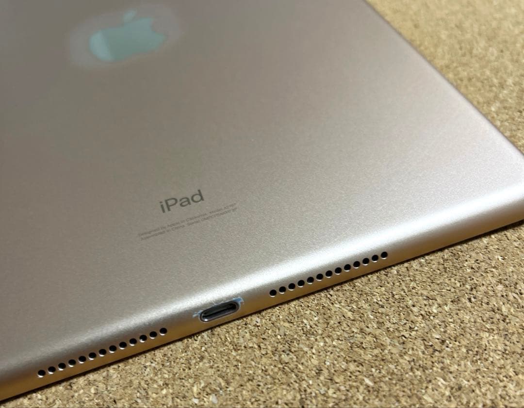 iPad本体 Apple iPad7 32GB (20)