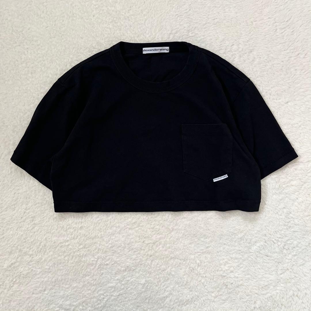 Alexandewang アレキサンダーワン　Tシャツ　クロップド丈 モード