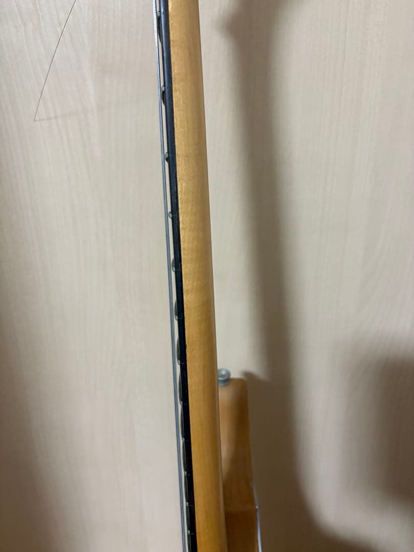 ロストラム Washburn N4 NUNO使用モデル