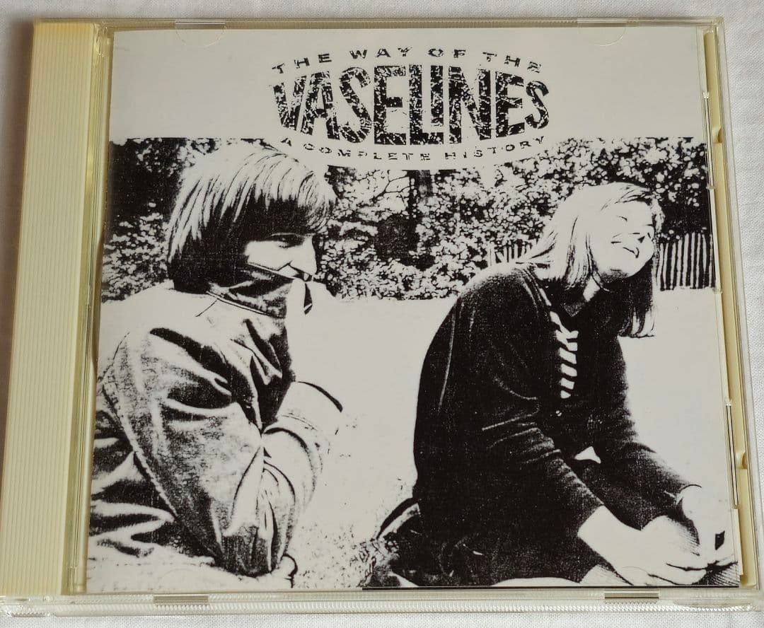 Nirvana & The Vaselines CDコレクション