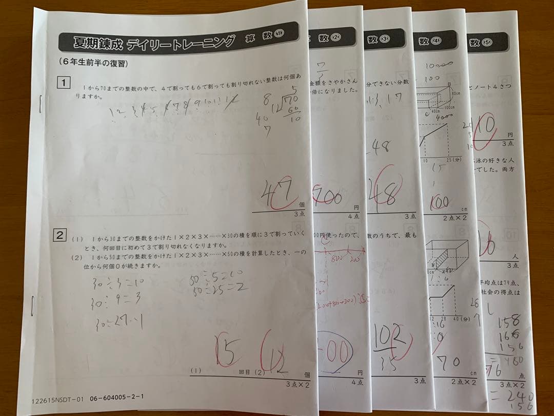 sapix ６年　夏期集中志望校錬成特訓　国語算数理社　全科目セット