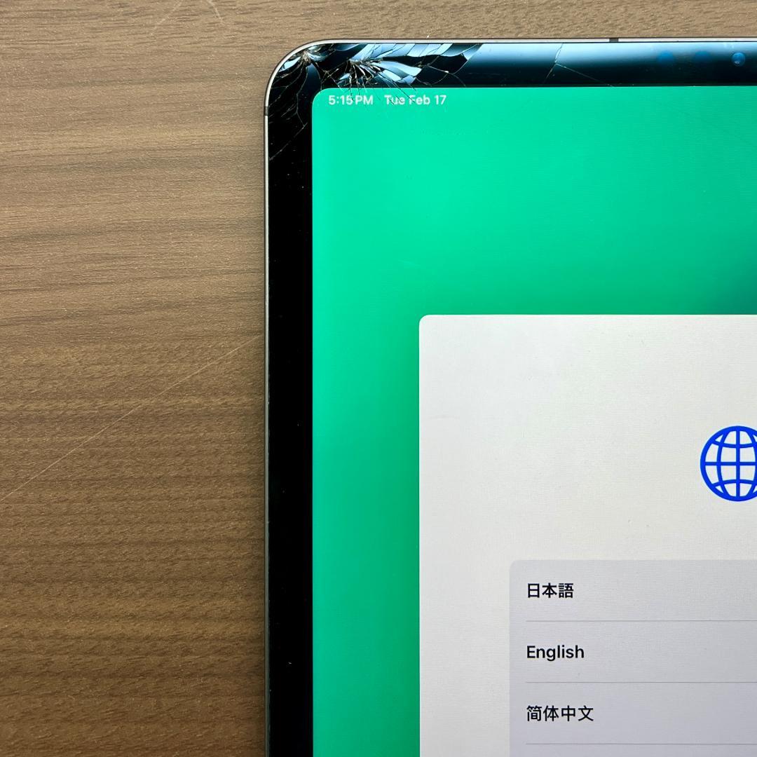 ち*ご様 動作確認済み iPad Pro 11インチ 256GB ID 42B0