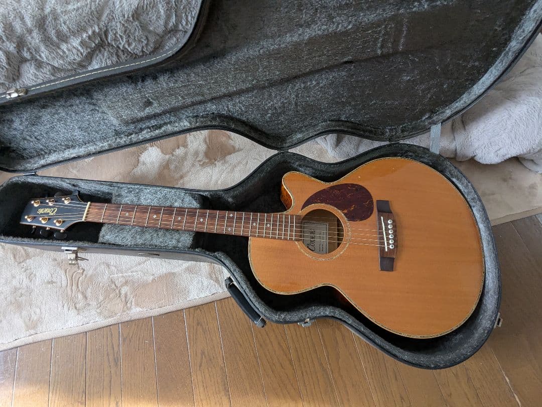 Coraelia C-213 アコースティックギター