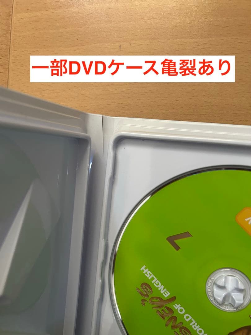 DWE2016シングアロング メインPGプレイアロング プレイメイト(未使用)