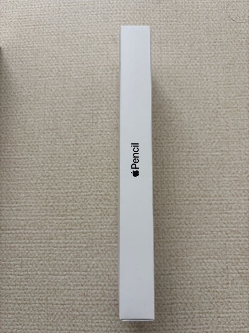 Apple iPad 本体 ブラック Apple Pencil付き