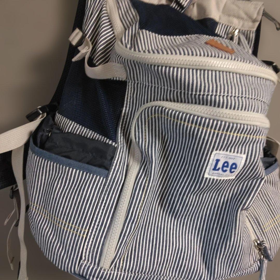 Pet Paradise Lee ストライプ キャリーバッグ 小型犬用