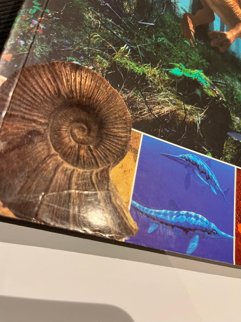 【恐竜】Dinosaurs Visual Encyclopedia【図鑑】