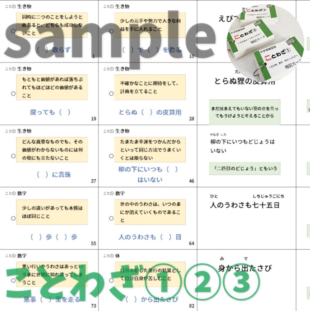 中学入試必須　国語重要語句カードセット　サピックス　言葉ナビ上下対応【069】