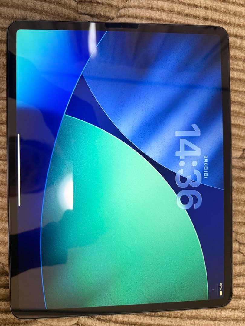 Apple iPad Pro 12.9 256GB 第４世代 +おまけ
