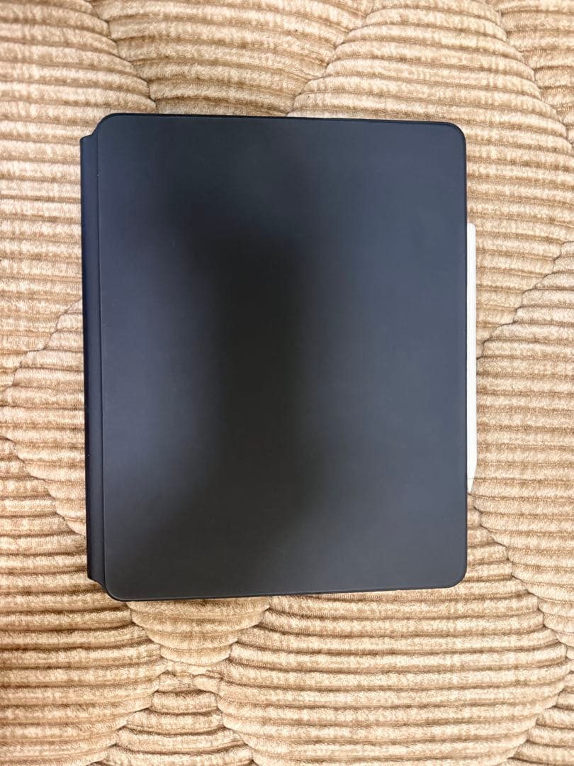 Apple iPad Pro 12.9 256GB 第４世代 +おまけ