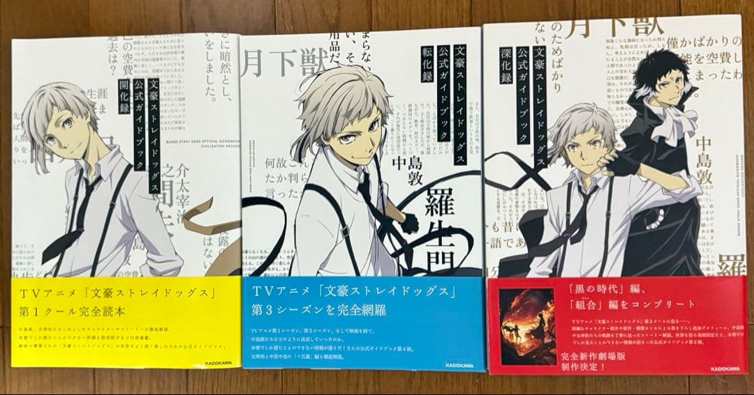 n*様 文豪ストレイドッグス 1-24巻 関連本16冊