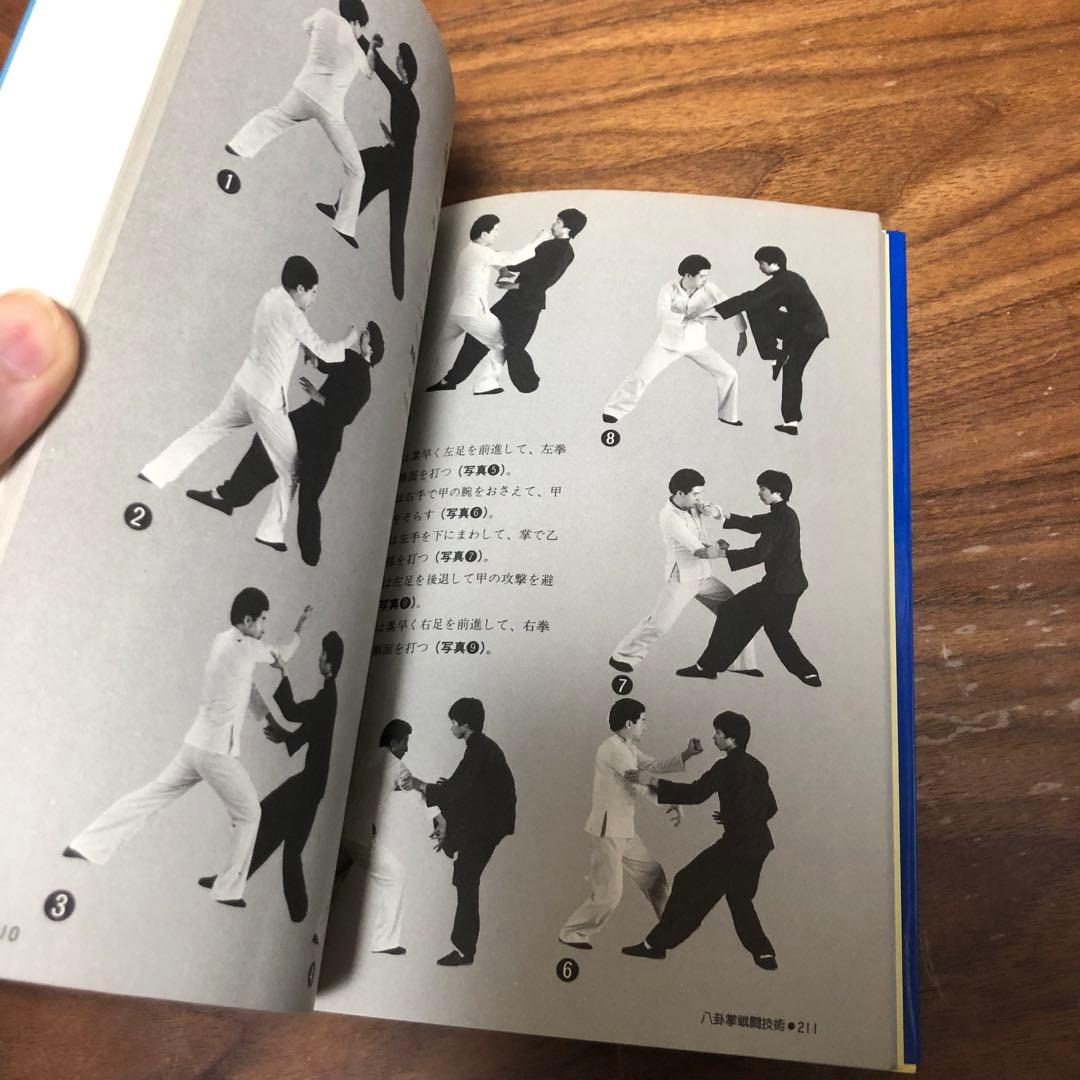 神秘の拳法 八卦掌入門 松田隆智 日東書院本社