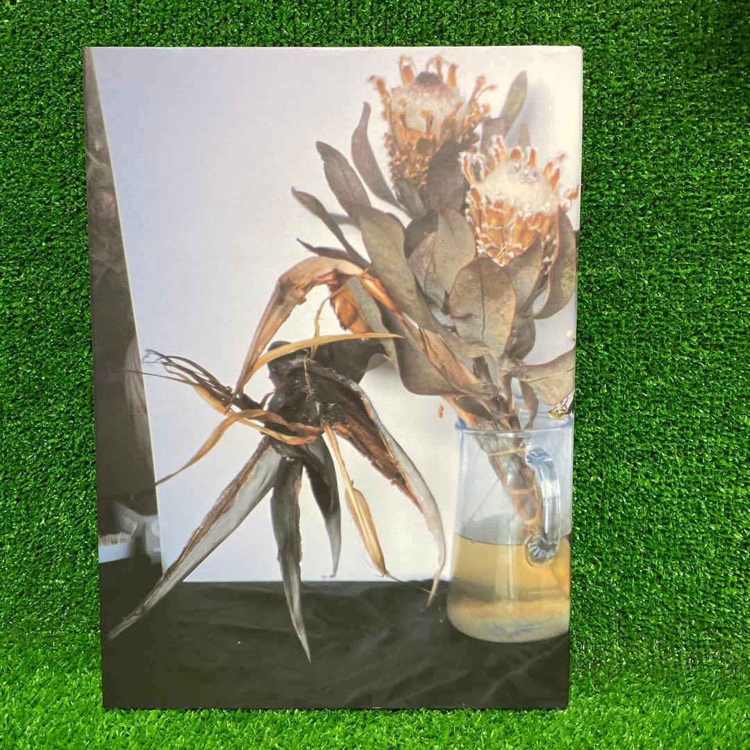 【早い者勝ち】希少　彼岸にて　荒木経惟　アラーキー　美品