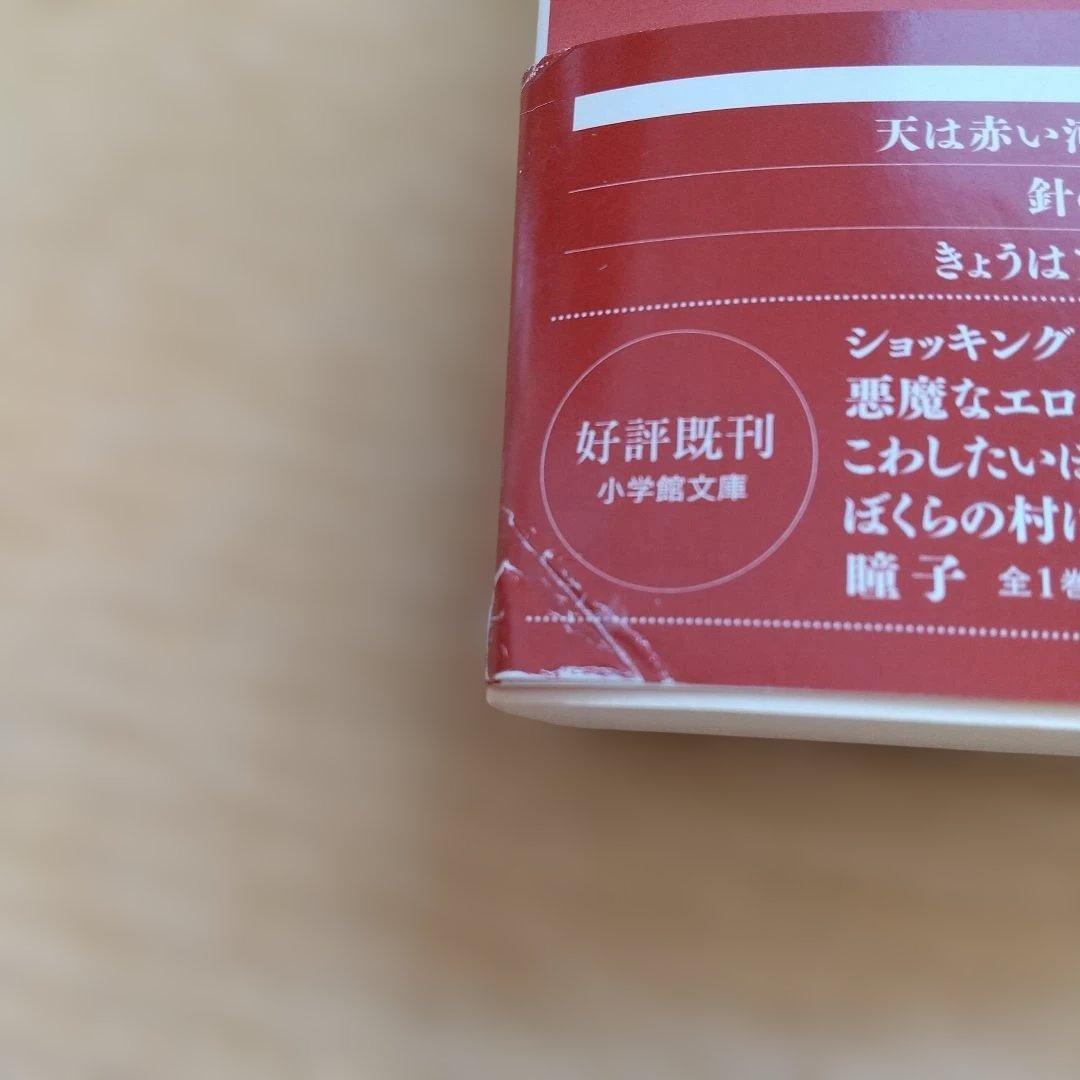 天は赤い河のほとり 全巻セット　&　外伝５巻セット