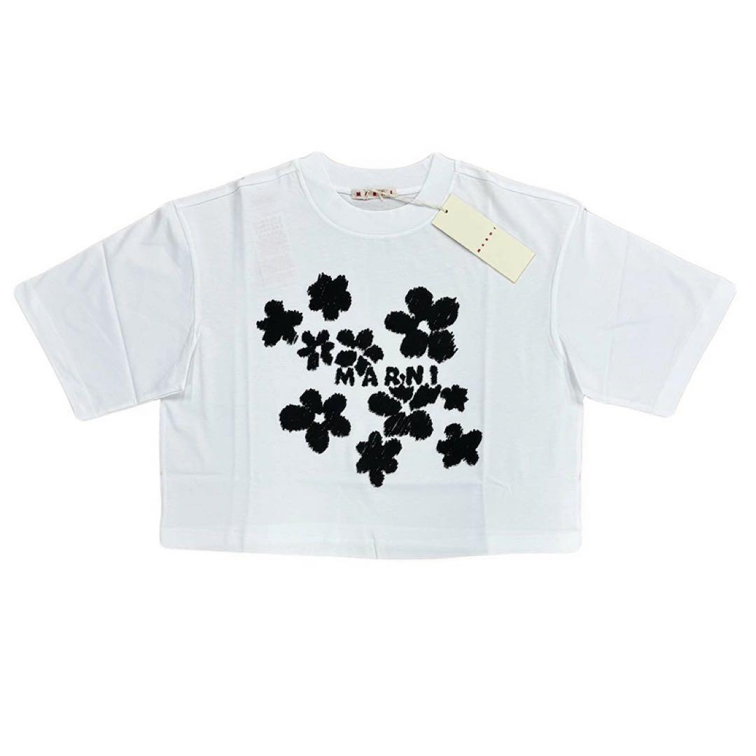 MARNI 25SS フラワープリントtシャツ 38