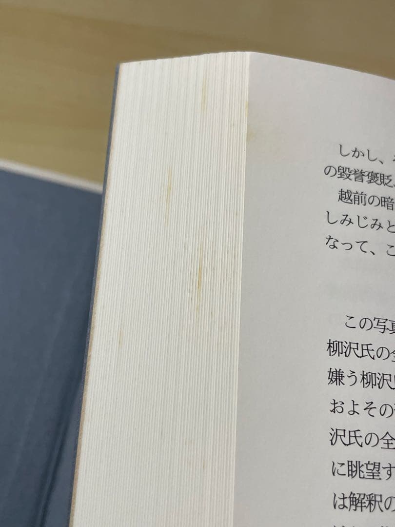 柳沢信　写真