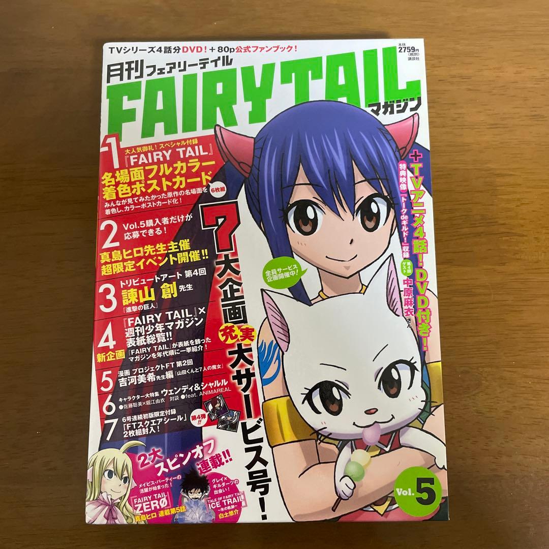 月刊フェアリーテイルマガジン　全13巻セット　美品