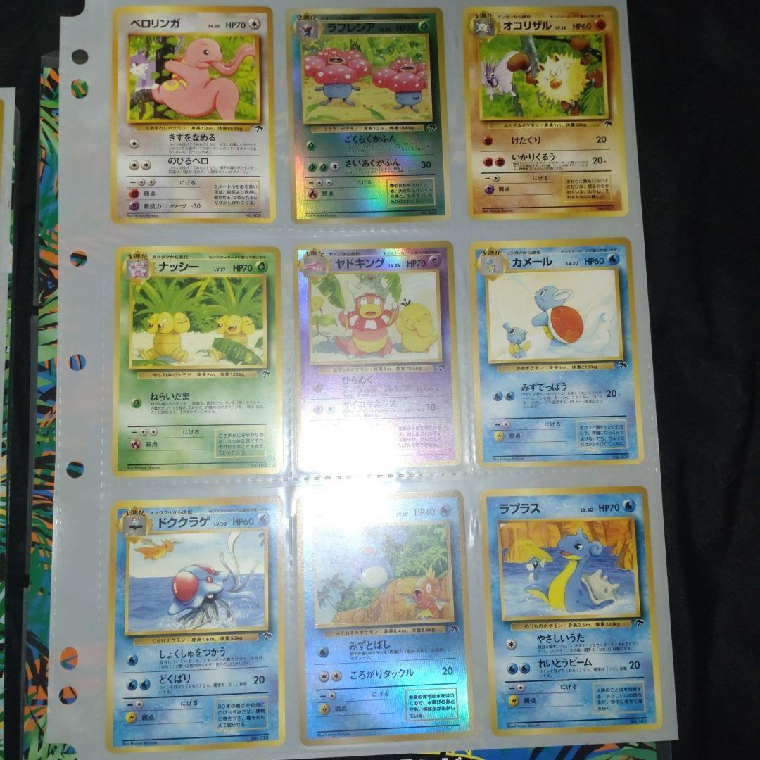 ポケモンカード トロピカルアイランド レインボーアイランド　バインダー2冊　貴重