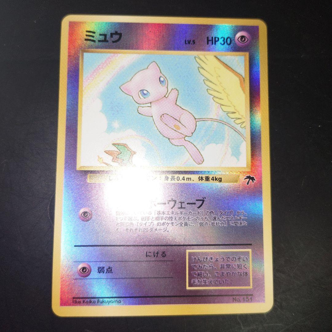 ポケモンカード トロピカルアイランド レインボーアイランド　バインダー2冊　貴重