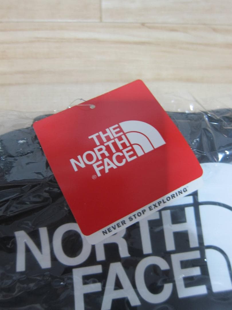 【タグ付き新品】Supreme×TNF Arc Logo Duffle Bag