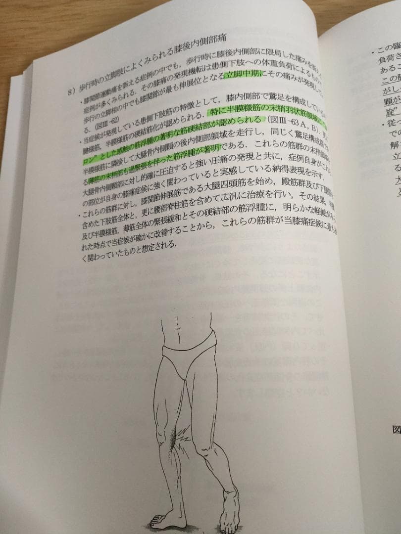 筋性疼痛症候の臨床観察(下巻)