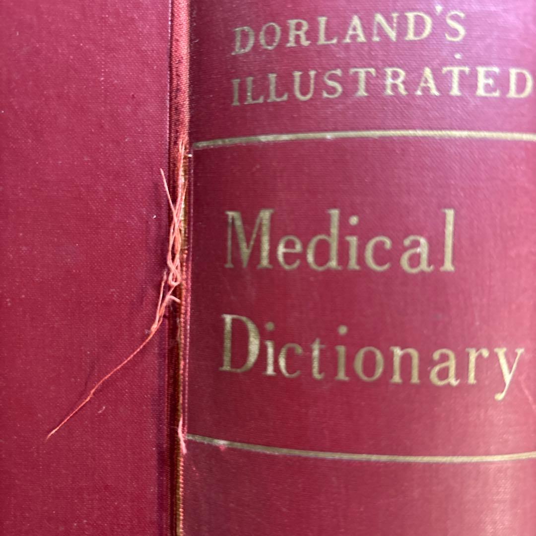 健康・医学 Dorland's Illustrated Medical Dictionary