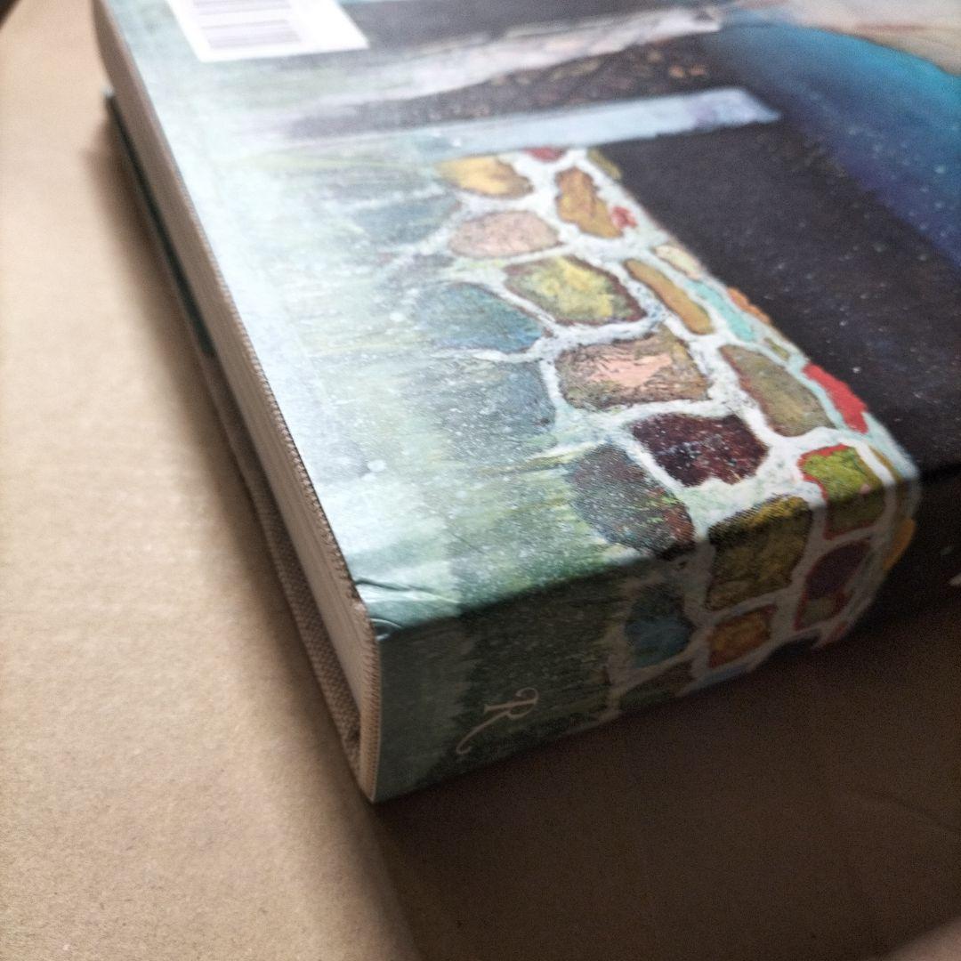 Peter Doig アートブック 画集 作品集 ピーター・ドイグ