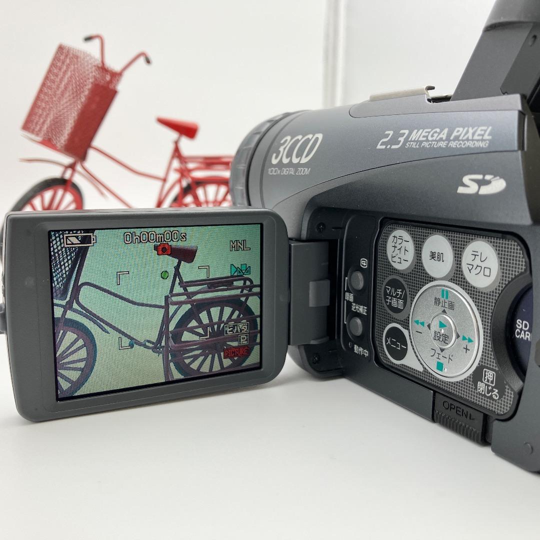 Panasonic パナソニック デジタルビデオカメラ NV-GS200