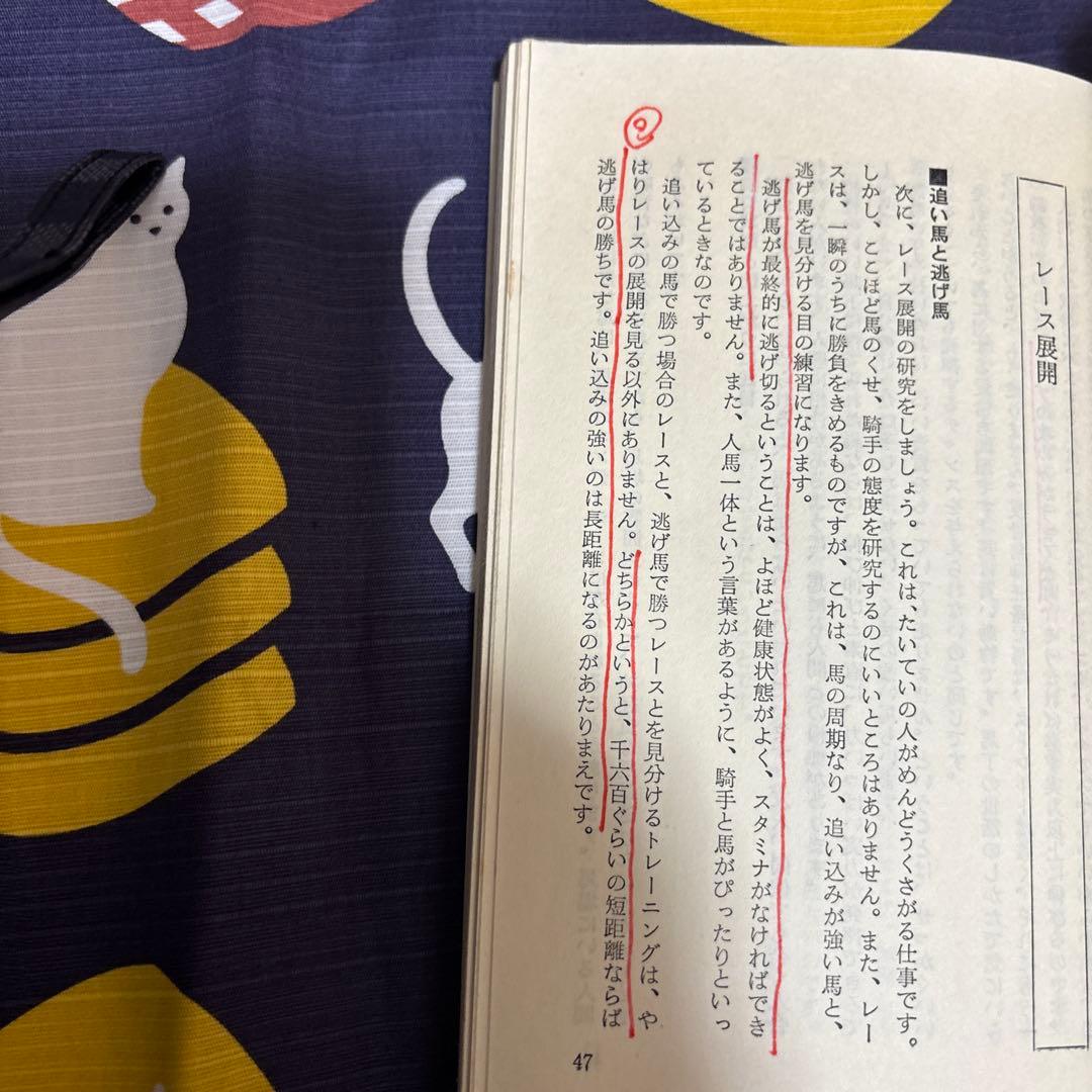 競馬占いと作戦 【書き込みあり】