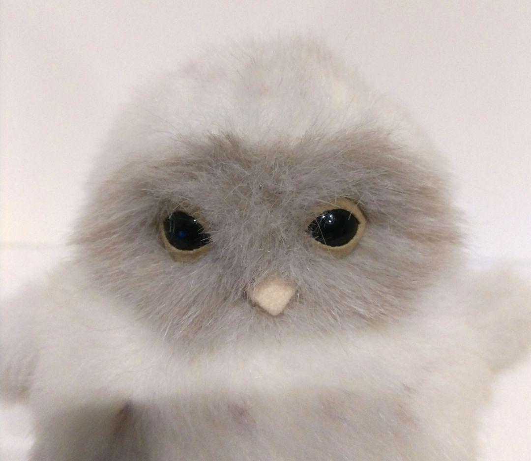 やまね工房 ぬいぐるみ ふくろう フクロウ ヒナ 梟 希少