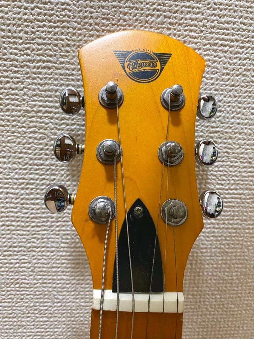 ピグノーズ　アンプ内蔵ギター　オマケ付き