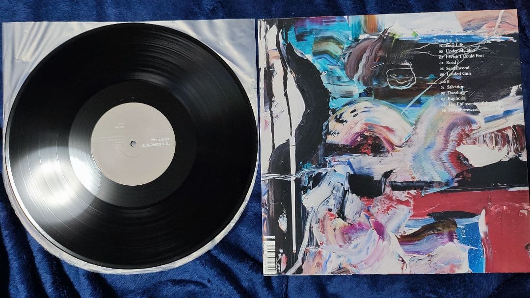 DYGL レコード　アナログ　2枚セット