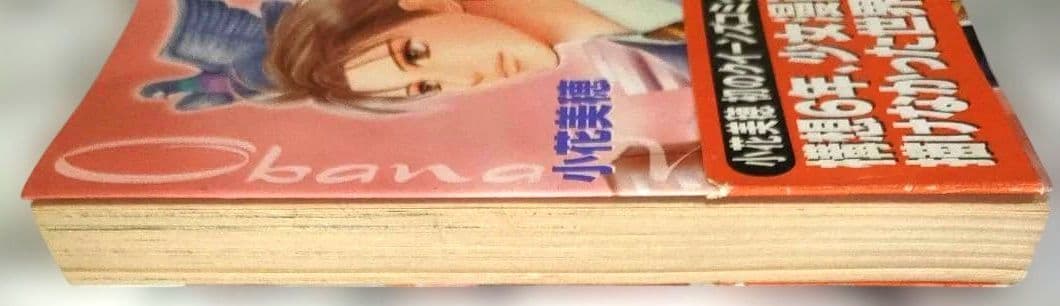 漫画　あるようでない　男　used in Japan