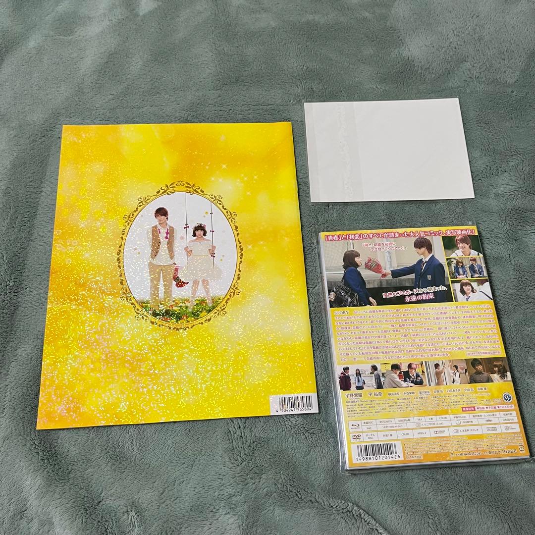 honey 平野紫耀 Blu-ray パンフレット